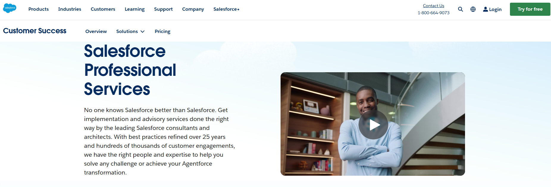 Salesforce Professional Services