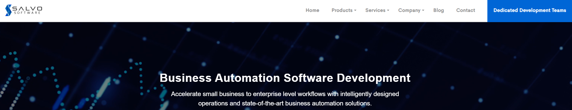 Salvo Software